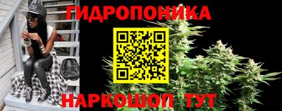 шишки Пушкино