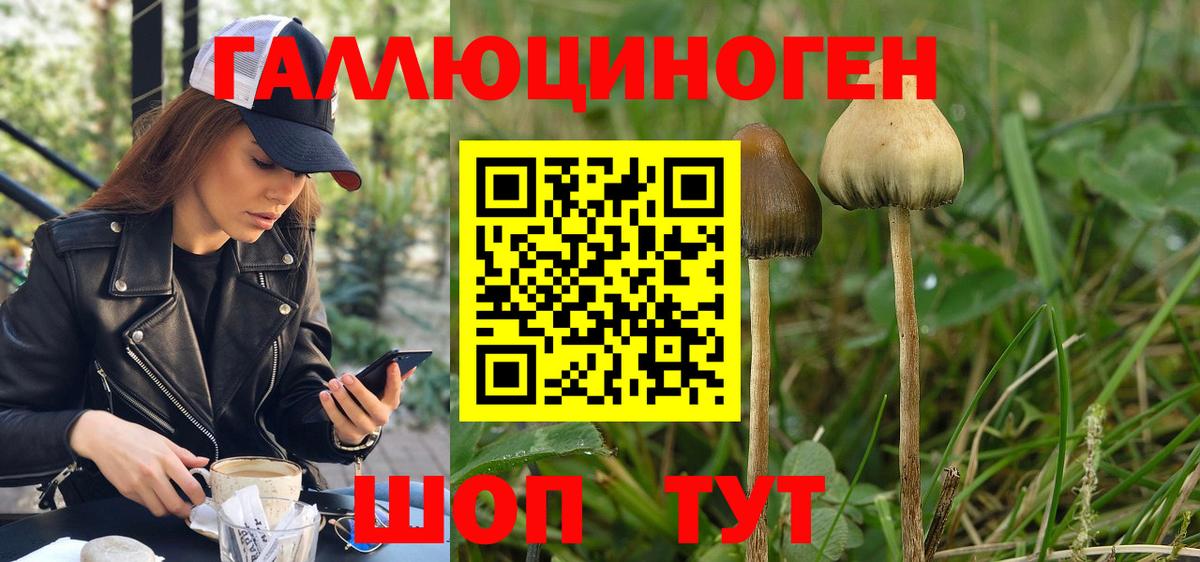 хочу   Вход с VPN  Галлюциногенные грибы мицелий  Сибай  Галлюциногенные грибы ЛСД 
